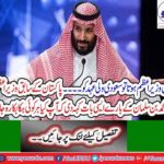 If I was a Prime Minister then gives the opportunity to briefing the Saudi crown prince in National Assembly, Yousaf Raza Gillani