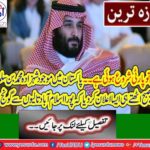 Will solve problems of Pakistani,s in Saudi Arabia