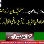 The most important leader of the PML (N) and Shahbaz Sharif's close companions died