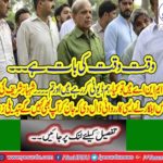 Police stopped the PML N MNA on the gate