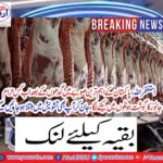 In the most important province of Pakistan, in which the meat of the forbidden animal was sown in hotels after the donkeys,