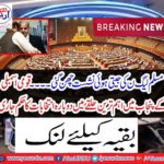 The PML-N won the winning seat