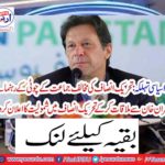 Big political party