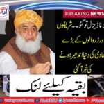 Say Maulana diesel