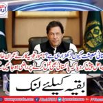 Why is the Pakistani economy standing?