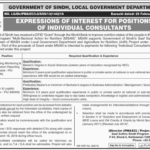 Local Government Department Sindh Jobs 2019 for Admin/Logistics, Planning Monitoring/Evaluation Reporting Specialists/Consultants