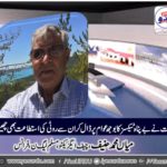 Mian Muhammad Hanif, chief executive, pmln, france