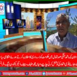Mian Muhammad Hanif, Chief Executive, PMLN, France