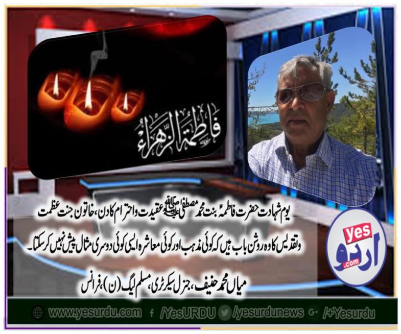 Mian Muhammad Hanif, gen secretary, pmln, france