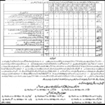 Punjab Local Government & Community Development Jobs 2019 for 46+ Stenographers, Sub-Engineers, Assistants, Accounts & Other Posts (Disable Quota)