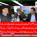 raja ali asghar, senior, leader, PMLN, France