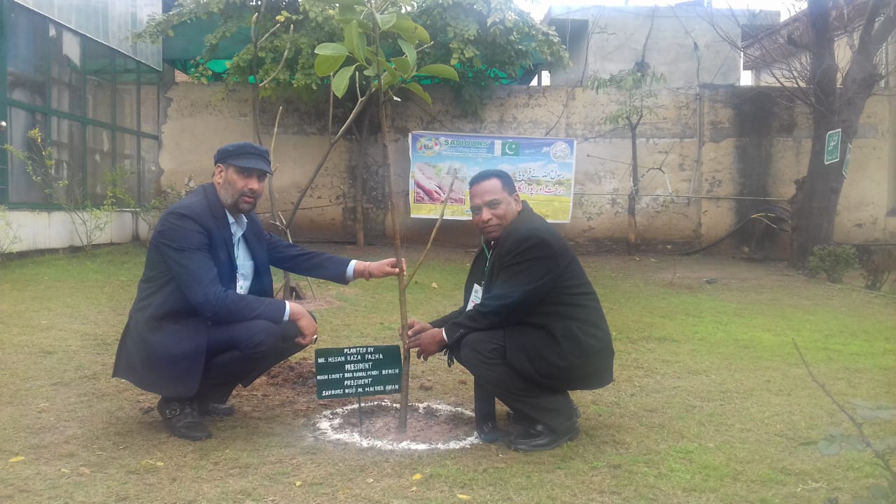 Lahore Court Bar Association Rawalpindi organized by with collaboration of non-governmental organizations savers spring season shrinking campaign