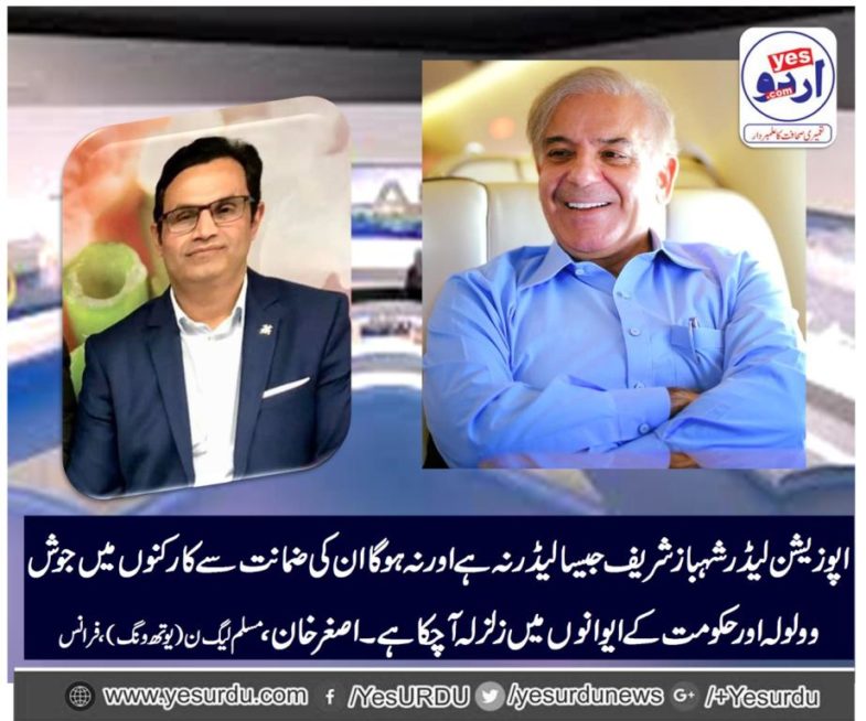 asghar khan, PRESIDENT, PMLN, YOUTH WING, FRANCE