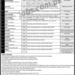 Social Welfare, Education & Women Empowerment Department KP Jobs 2019 for 48+ Posts (Multiple Categories)