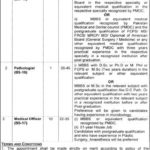 AIMC Lahore Jobs 2019 for 13+ Medical Officers, Pathologists and Registrar Posts