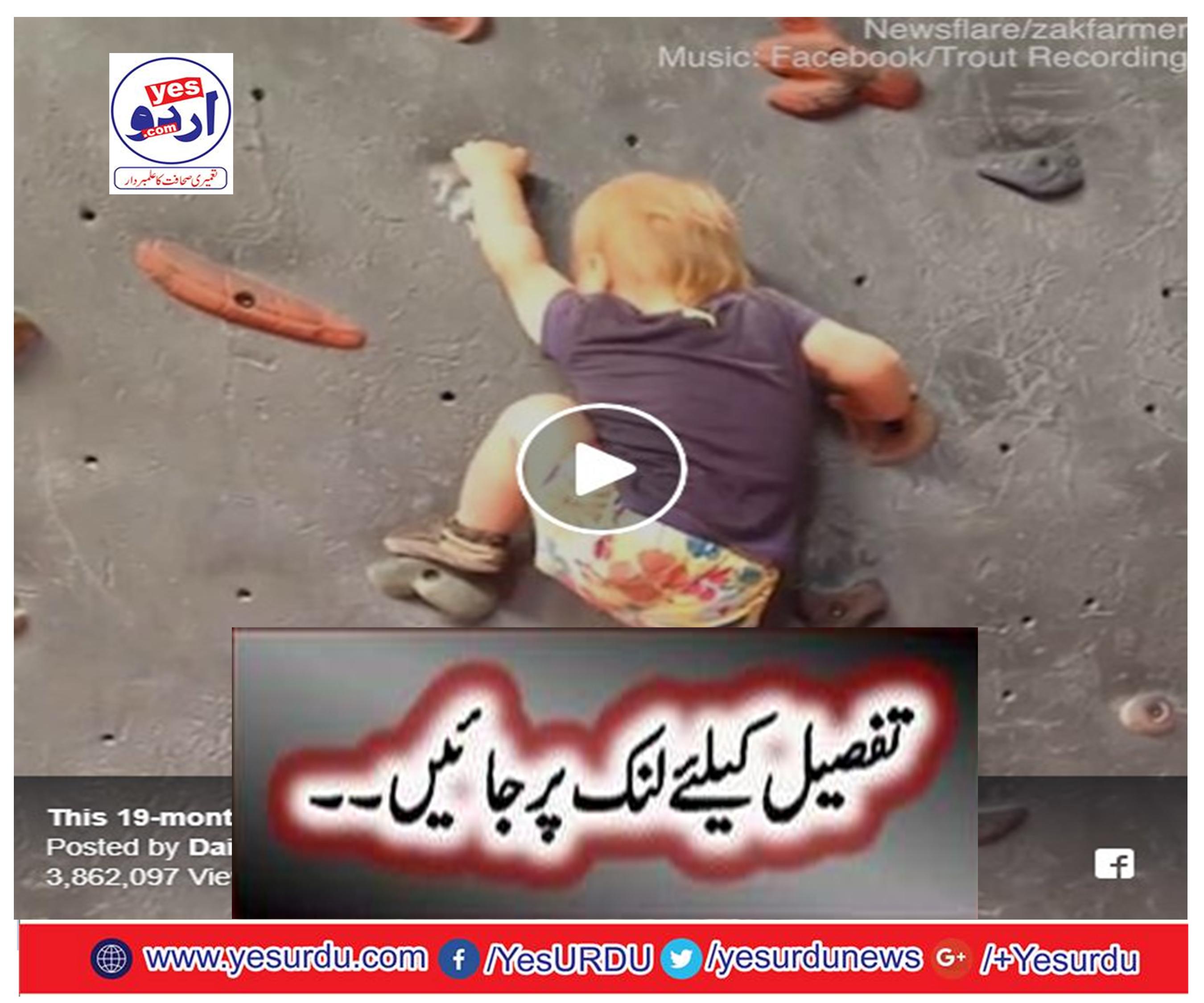 This 19-month-old toddler is rock climbing without a harness!