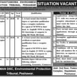 KP Environmental Protection Tribunal Jobs 2019 for 5+ Stenographers and Accounts Clerks