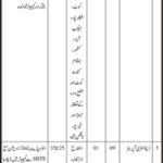 BISE Larkana Jobs 2019 for 8+ Jr Clerks, Stenotypists, Assistant, DEO & Other Posts (Disable Quota)