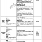Power Sector Federal Govt Organization Jobs 2019 for 38+ Admin, Office, Asst/Dy Directors, Transport & Other Staff Posts (Multiple Cities) (Download OTS Form)