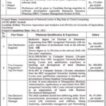 University of Agriculture Faisalabad Jobs 2019 for 15+ DEO, Sub-Engineer, IT, Research, Management & Other Posts
