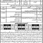 Forest Department KP Jobs 2019 for 100+ Jr Clerks, Foresters, Forest Guards & Drivers (Multiple Districts)