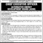 Ministry of Energy Pakistan Jobs 2019 for Chief Executive Officer / CEO