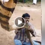 COBRA RESCUE DOESN'T GO AS PLANNED