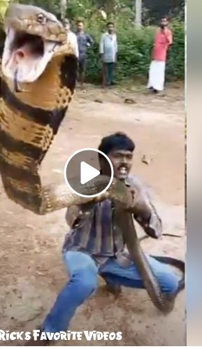 COBRA RESCUE DOESN'T GO AS PLANNED