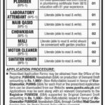 Peoples University of Medical & Health Sciences for Women Jobs 2019 for 16+ Jr Clerk, Computer Operator, House Keeper & Other Posts (Disable Quota)