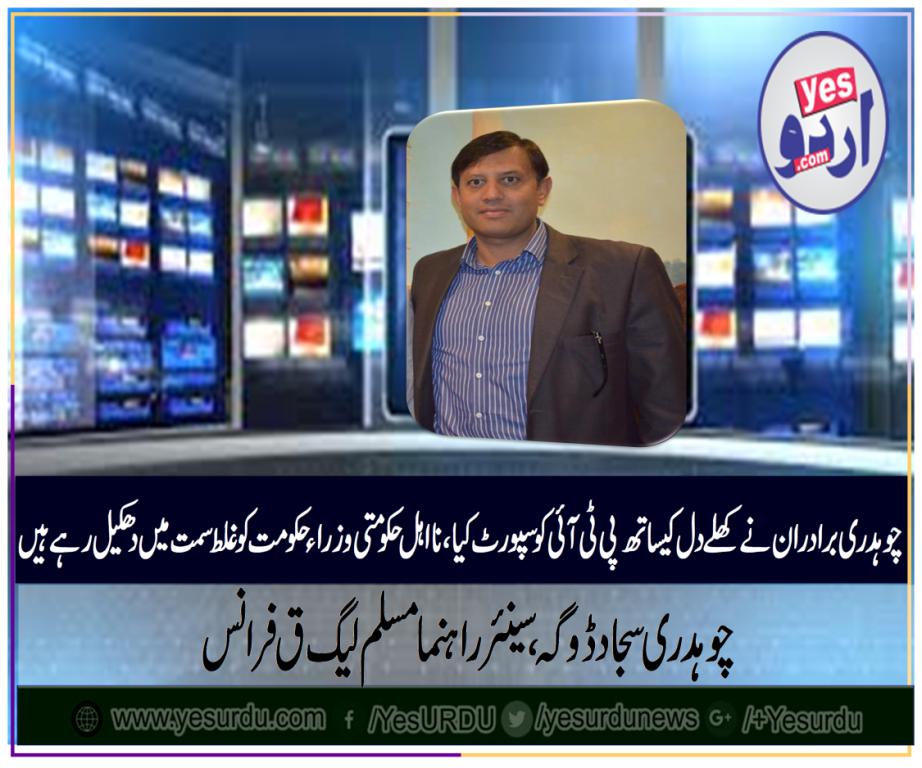 ch sajjad doga, SENIOR, LEADER, PMLQ, FRANCE