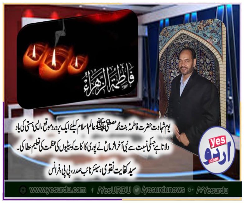 kafait naqvi, senior, vice, president, ppp, france