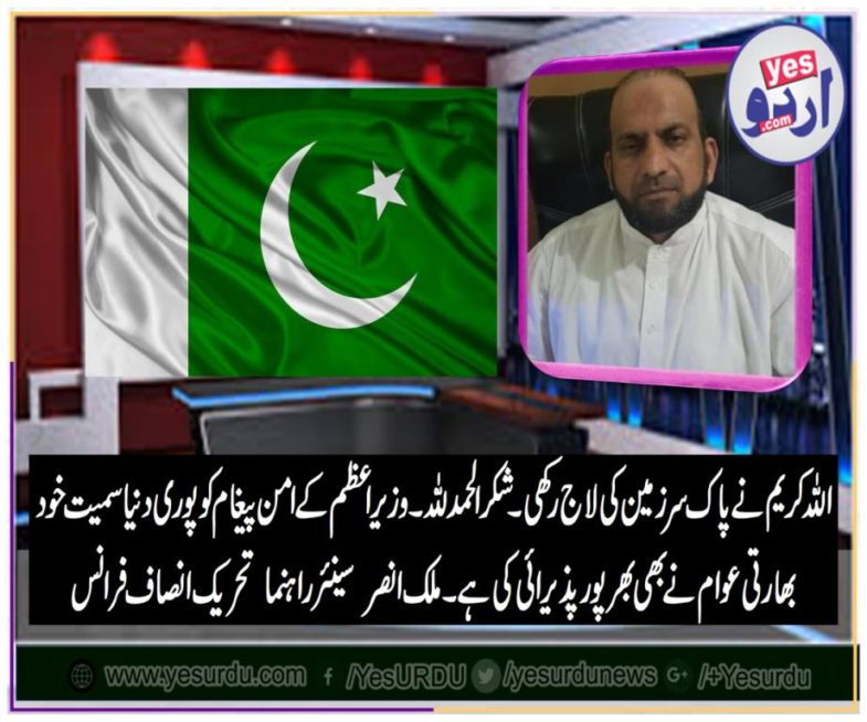 malik ansar khan, senior, leader, PTI, France