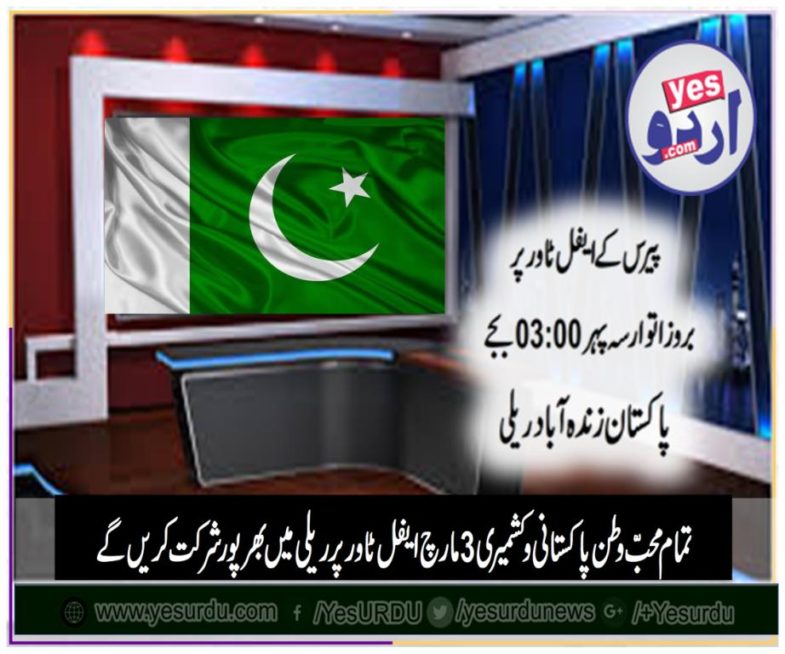 pakistan, zindabad, rally, organized, by, Pakistani, and, Kashmiri, community, France