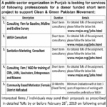 Punjab Public Sector Organization Jobs 2019 for Various Professionals for Clean & Green Pakistan Movement