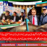 raja ali asghar, senior, leader, PMLN, France