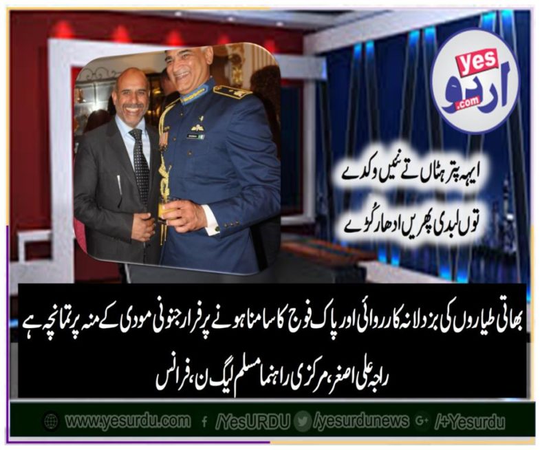 raja ali asghar, senior, leader, PMLN, France