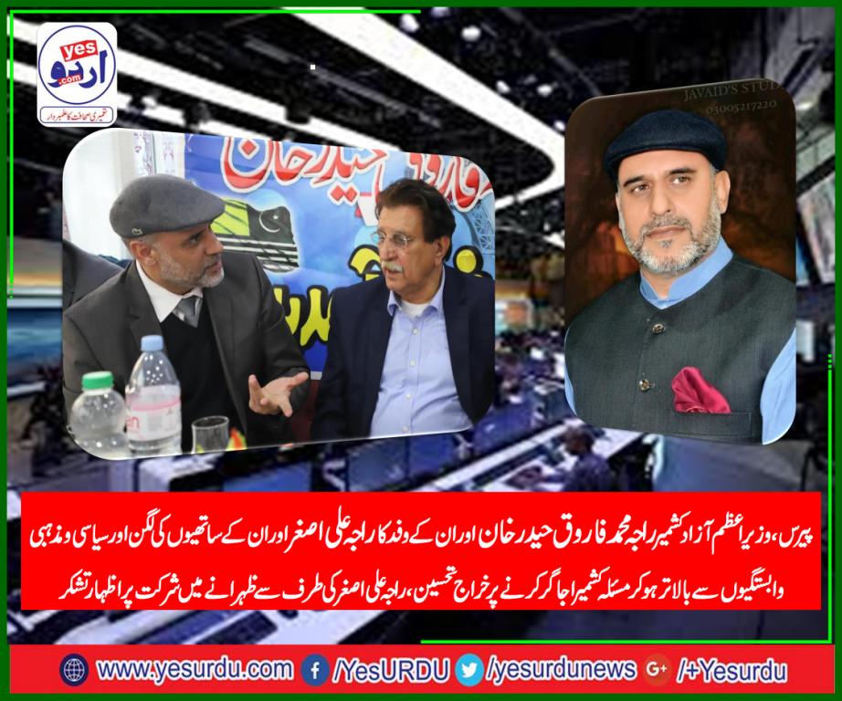 raja ali asghar, senior, leader, PMLN, France