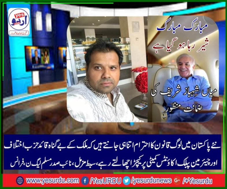 sibt e muzammil, vice, president, pmln, France, with, malik inam, majid butt, ali zahid, asghar khan, and, others