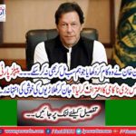 Imran Khan did the work that we could not do together