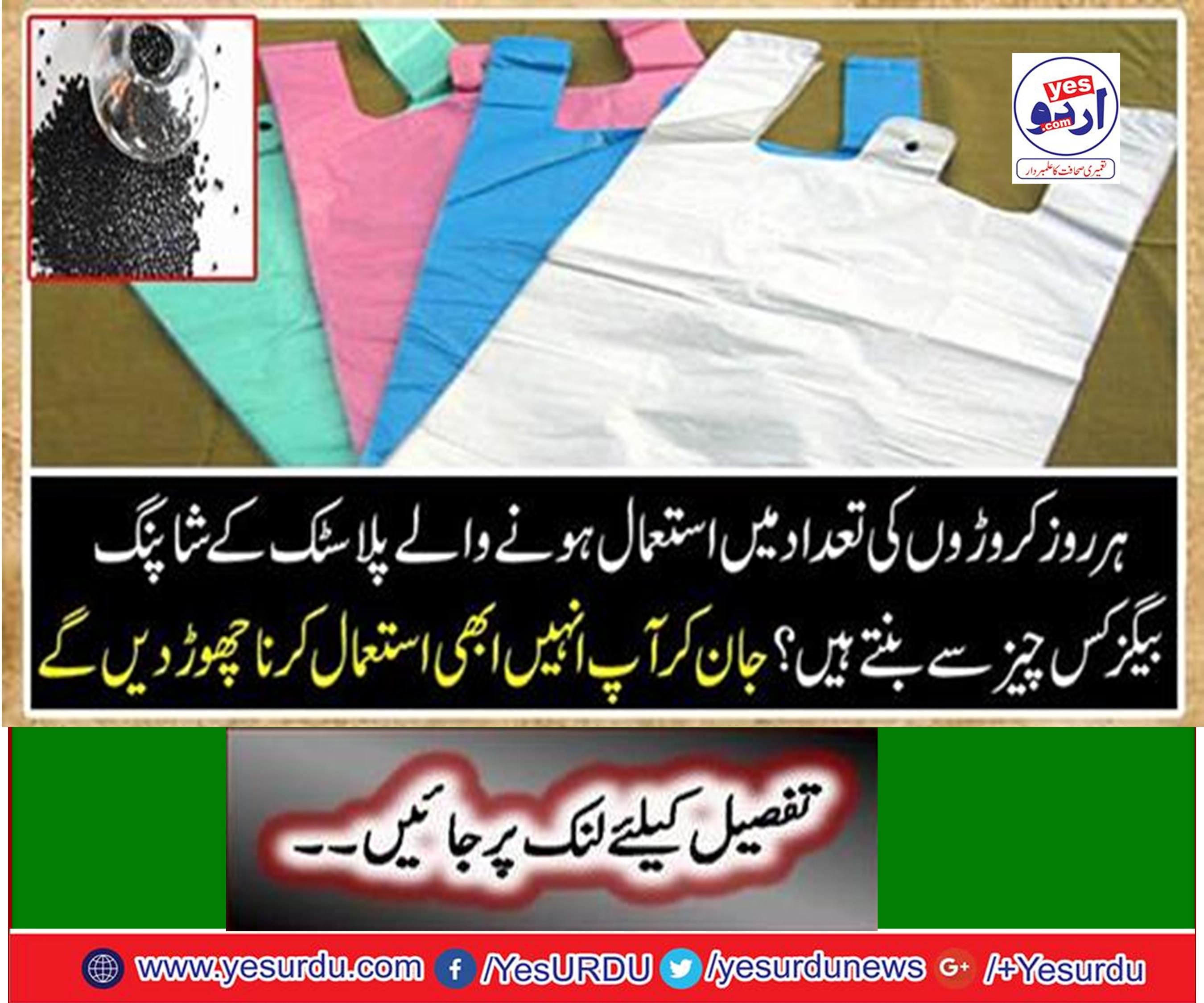 Everyday, millions of shopping bags make plastic shopping bags