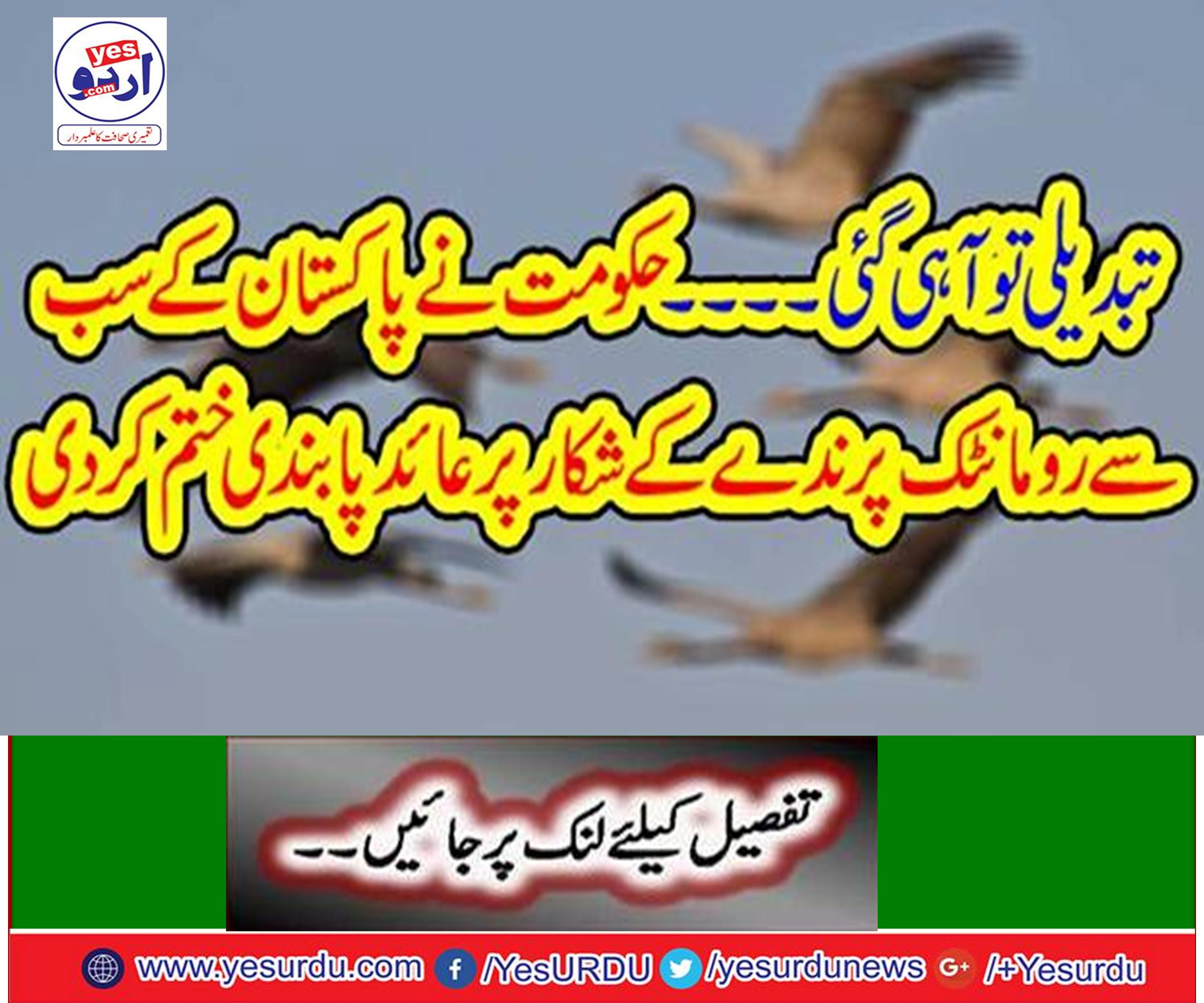 The government eliminates Pakistan's most romantic bird hunting ban