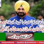 Why did Indian planes enter Pakistan's air limits? Indian government responds whether the terrorists were killed or not, former Indian cricketer and politician Navjot Singh Sidhu