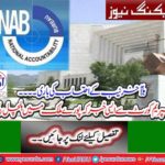 The corrupt people ate the country to robber God also will ask from the NAB, no institution which audit the NAB?