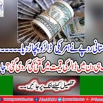 The dollar price decreases 12 paisa in inter bank