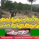 2 civilians martyred including women two people were injured seriously by the firing on the LOC of the Indian Army