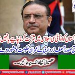 Pakistan should attend the OIC meeting, former President Asif Ali Zardari