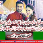 Shoaib Malik's wife Sanaa Mirza told the Indian pilot, Wing Commander, now Nainan, a real hero arrested after the plane crash in Pakistan two days ago.