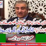 Government intends to take action against internal elements of Pakistan?