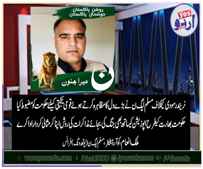 Malik inam, coordinator, pmln, France