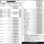 Nishtar Medical University & Hospital Multan Jobs 2019 for 262+ Teaching Faculty, Medical & Para Medical Posts